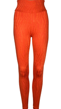 Load image into Gallery viewer, Orange Feline Leggings
